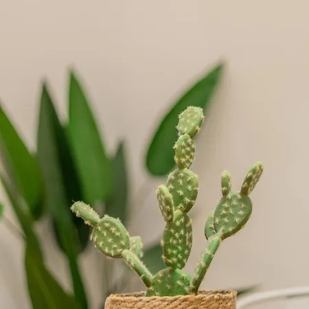 Appartement Templo Cota 2330m *