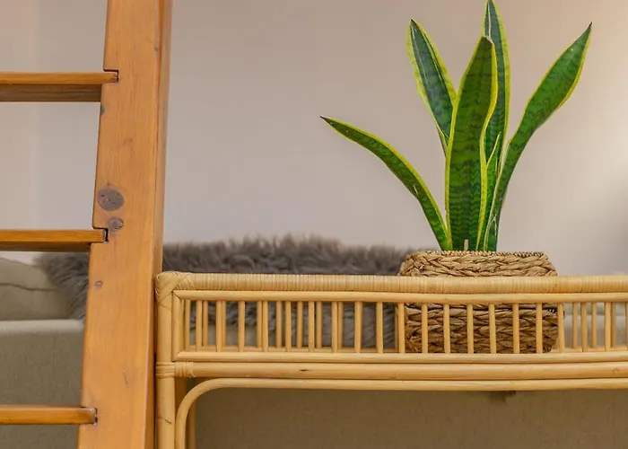 公寓 Templo Cota 2330m 塞拉内华达