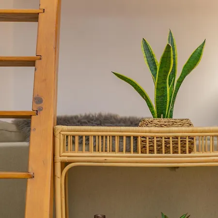 아파트 Templo Cota 2330m 시에라네바다